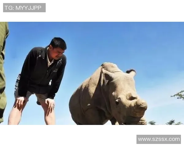 姚明与爱犬的温馨日常揭秘狗狗如何成为篮球巨星的最佳伙伴