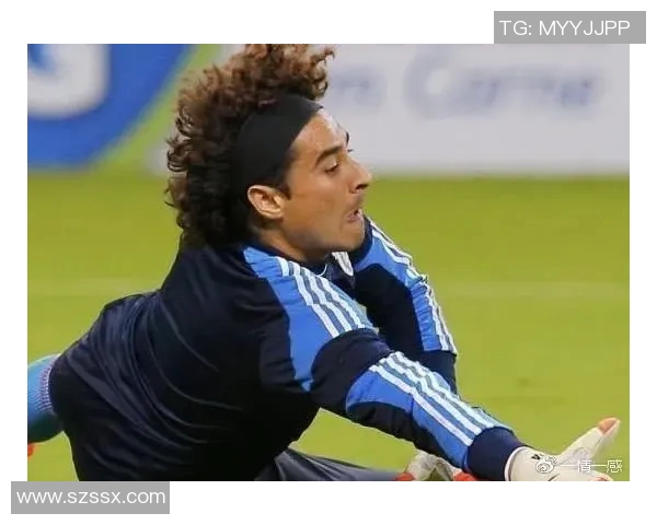 足球明星与新浪撞脸事件揭秘引发热议网友纷纷点赞与调侃